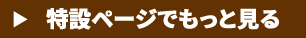 特設ページでもっと見る